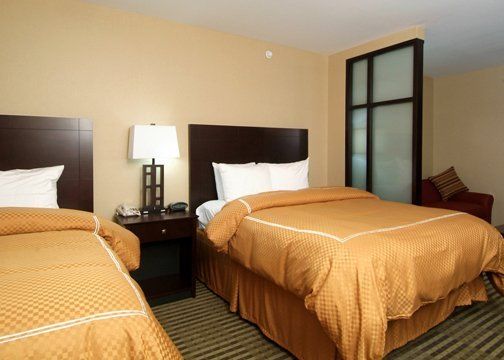 Holiday Inn Express & Suites Elkton - University Area, An Ihg Hotel Room photo